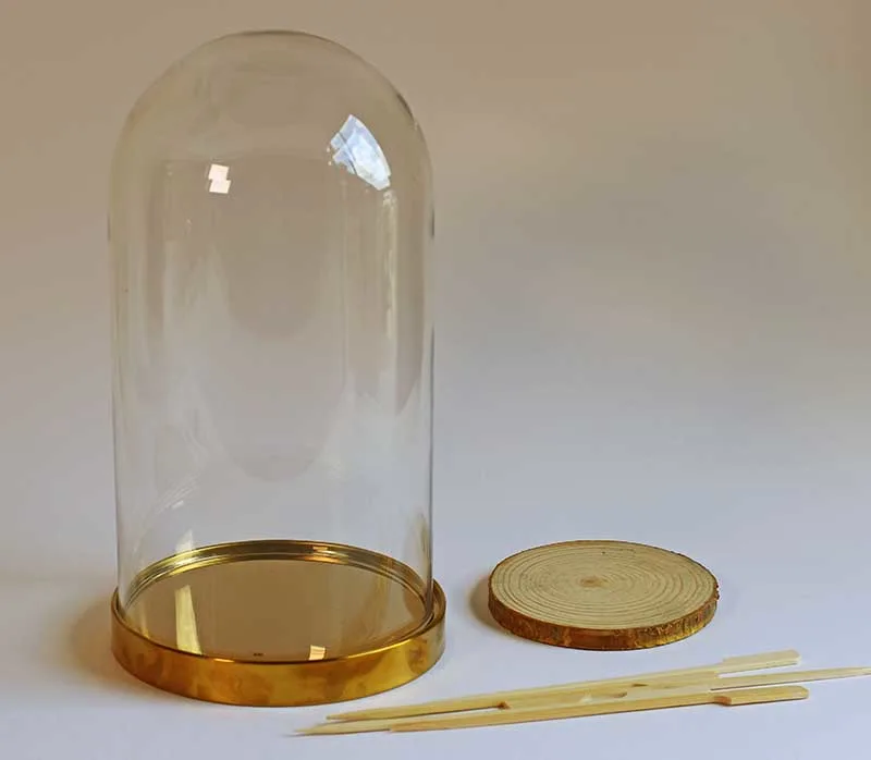 IKEA glass dome wood slice and bamboo skewers