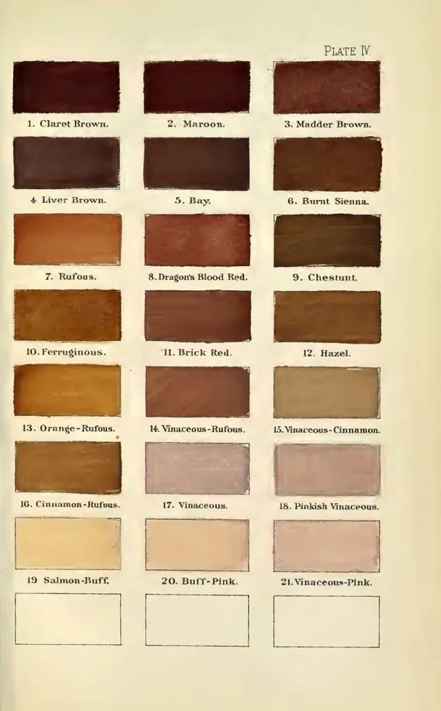 A nomenclature of colors browns 2