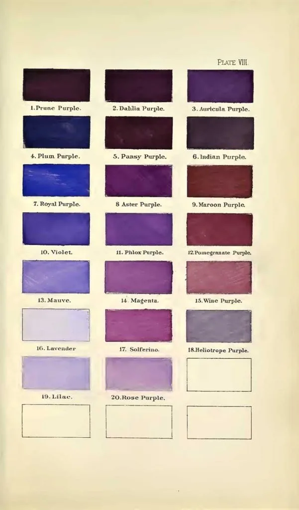 A nomenclature of colors purples