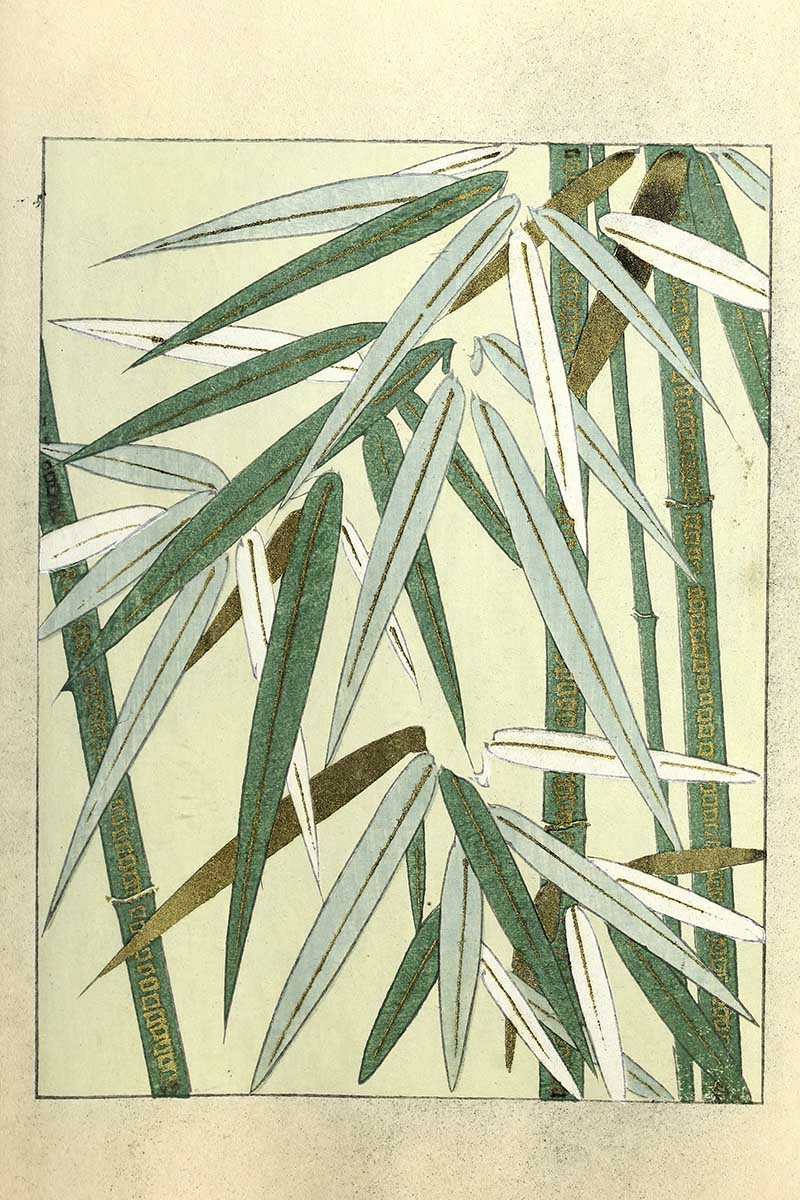 Close up bamboo leaves Vintage Japanese art