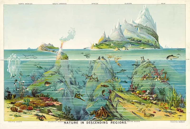 Geography poster of worlds oceans