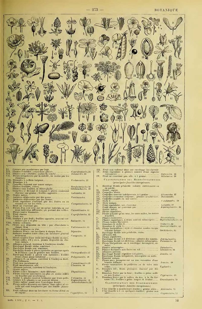 Botanicals collection