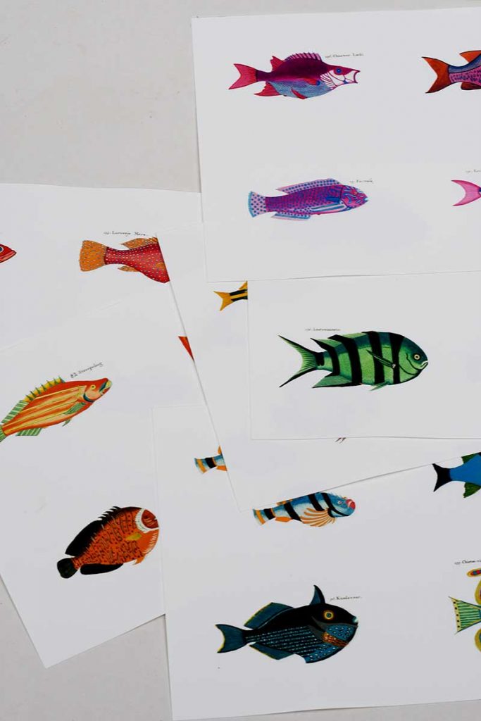 Printed rainbow fish pictures on watercolor paper