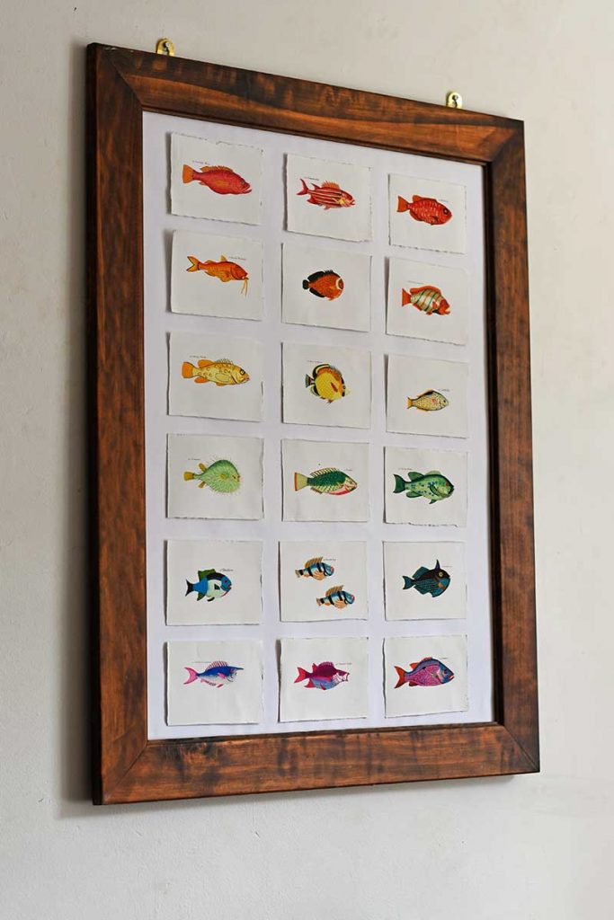 Vintage rainbow fish display