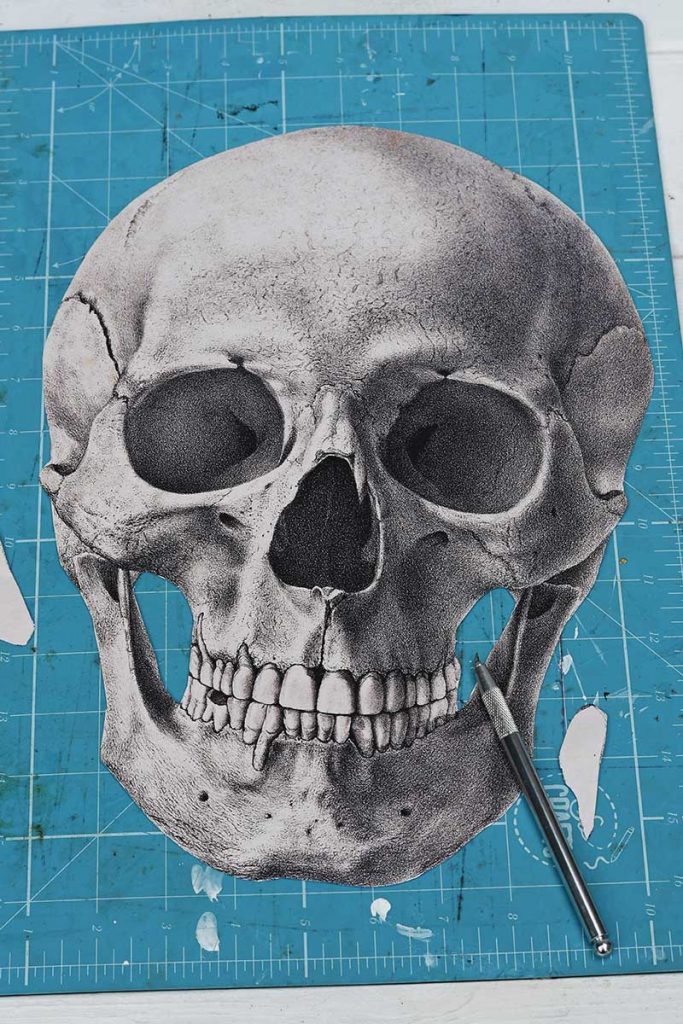 cutting out vintage skull