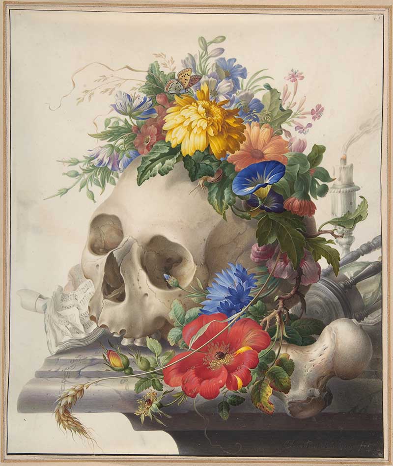 Vanitas Sitll Life of Skull with flowers