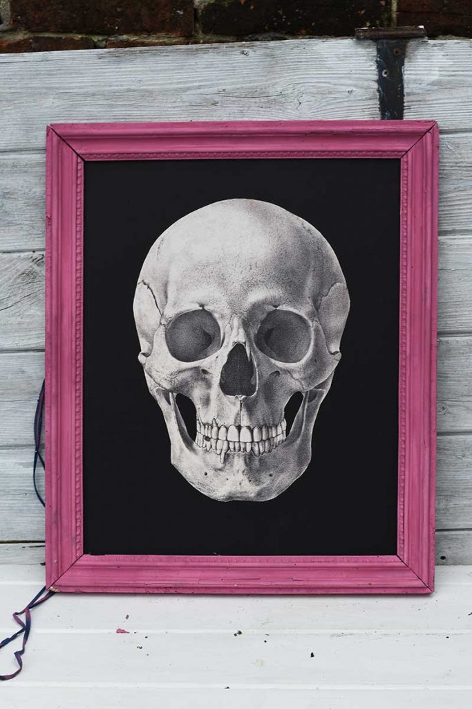 DIY Skull decor in frame