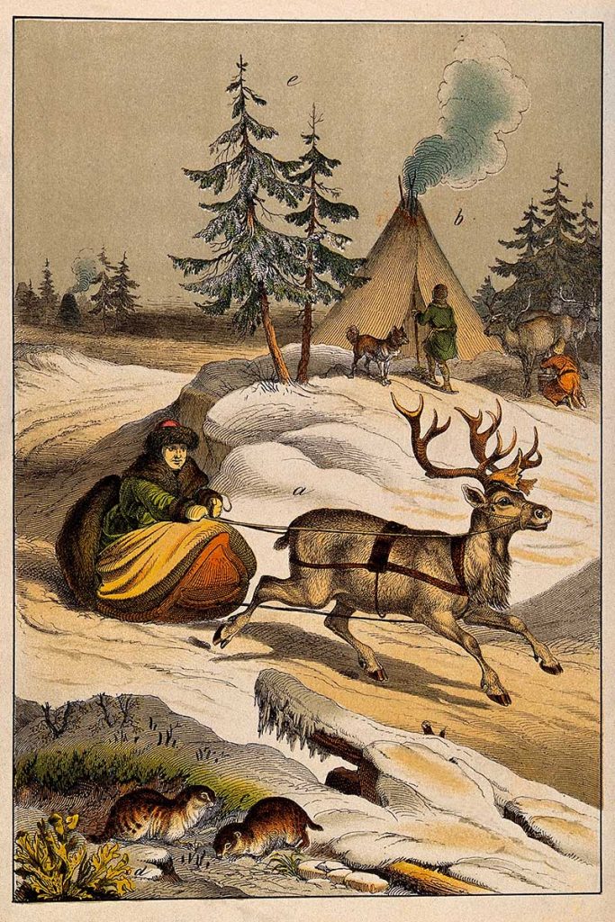 man in sleigh with reindeer