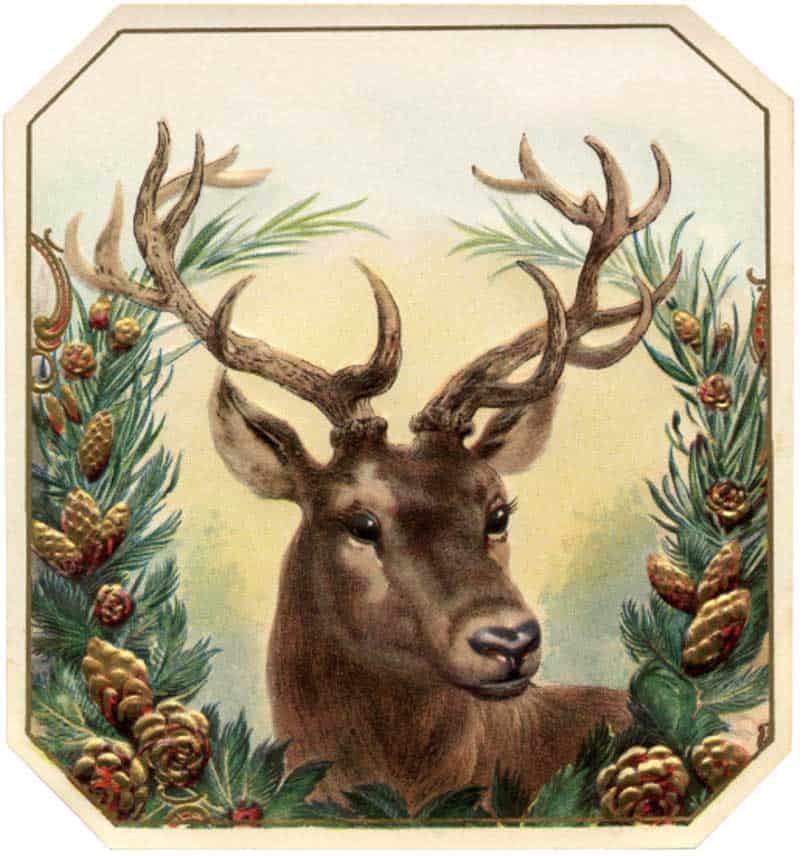 Christmas card reindeer