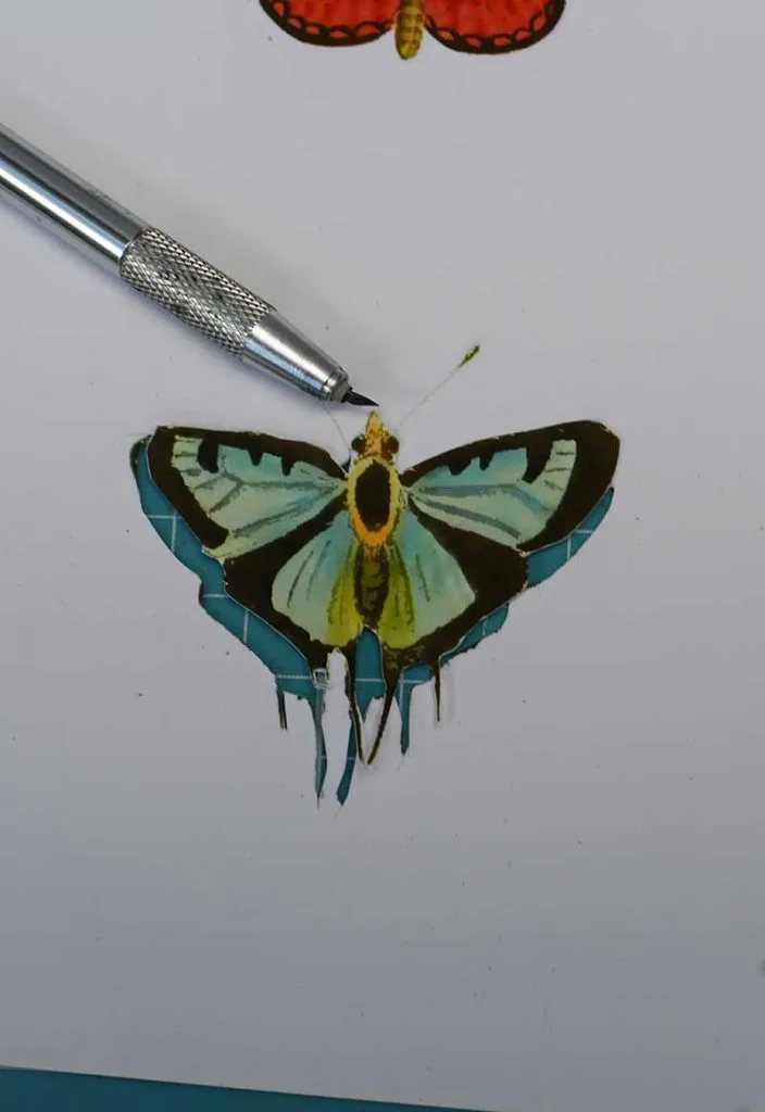Cutting out the butterfly