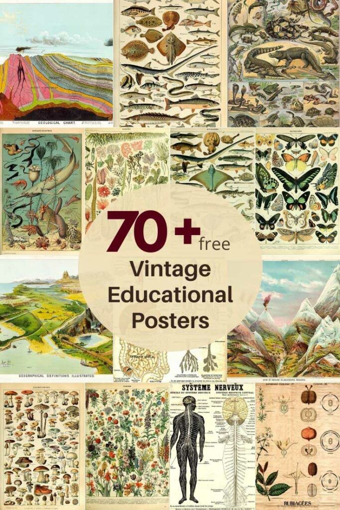 70 plus free vintage educational posters collection