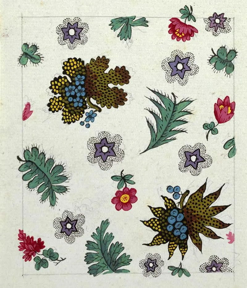 Fern-like leaves, small red flower, purple star-shaped flowers surrounded by black-dotted pattern.