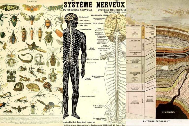 free educational posters