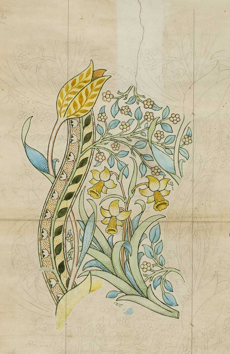 Design for a Daffodil William Morris