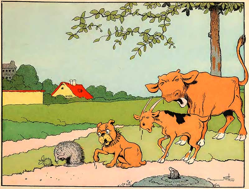 vintage childrens animal illustrations