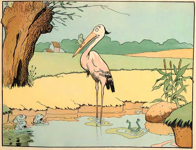 animal illustration of the frog and the heron
