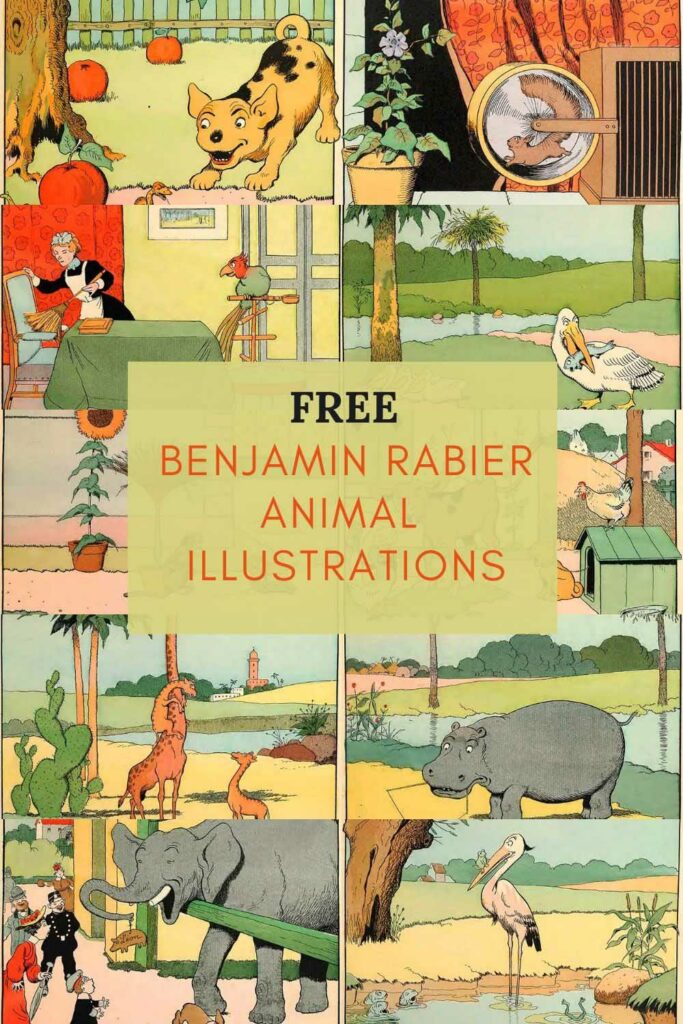 Vintage Benjamin Rabier Animal Illustrations