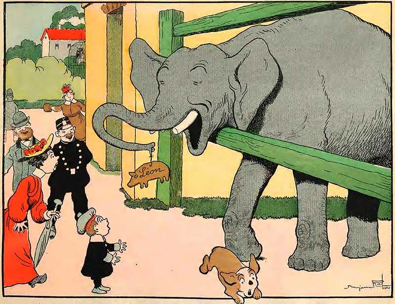 Elephant animal illustration