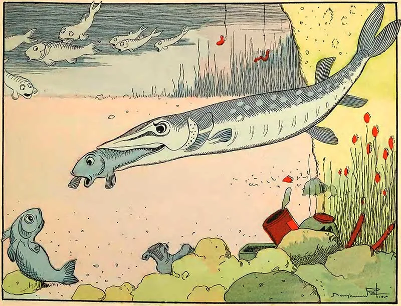Fish Animal Illustration