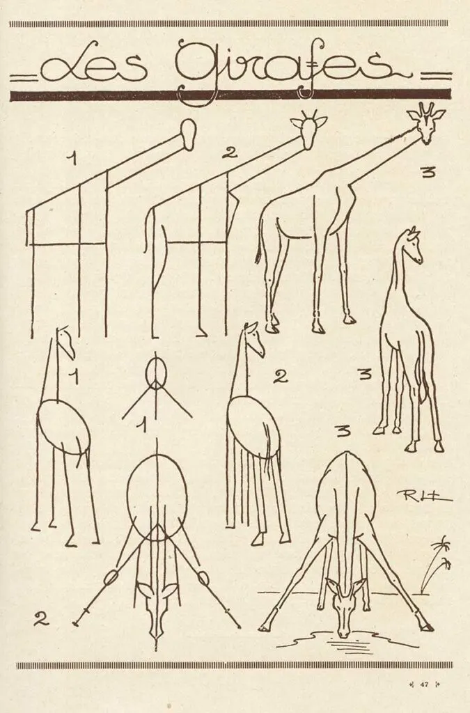 How to draw giraffes