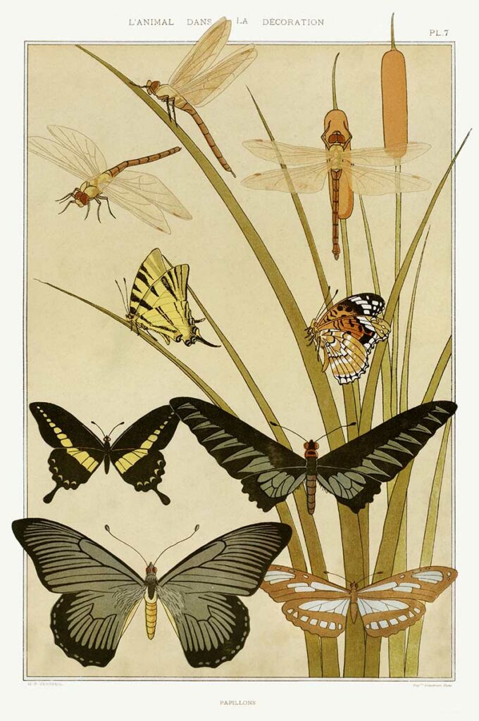 Papillons by Maurice Pillard Verneuil.