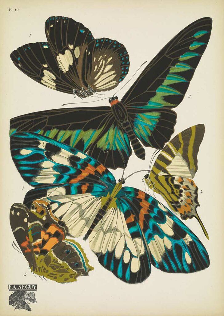 Pochoir Butterfly prints