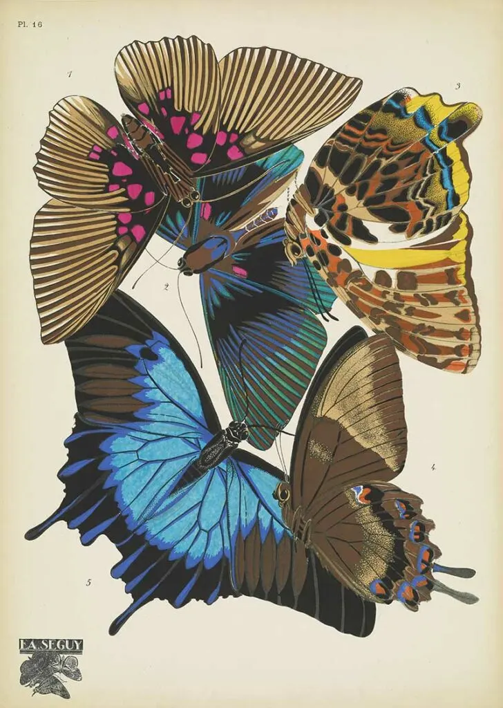 Papillons-pochoir print