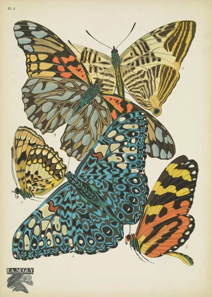 Art Nouveau Butterfly print