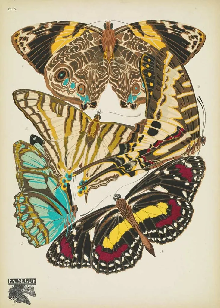 Papillons Pochoir prints