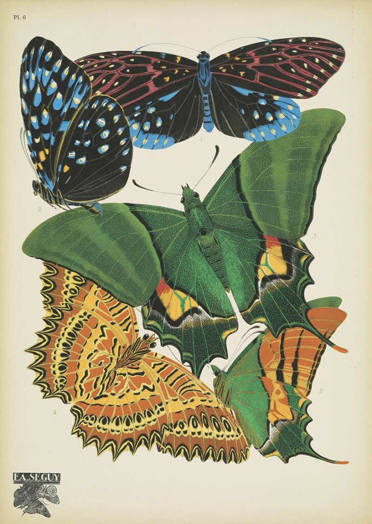 Papillons-pochoir print