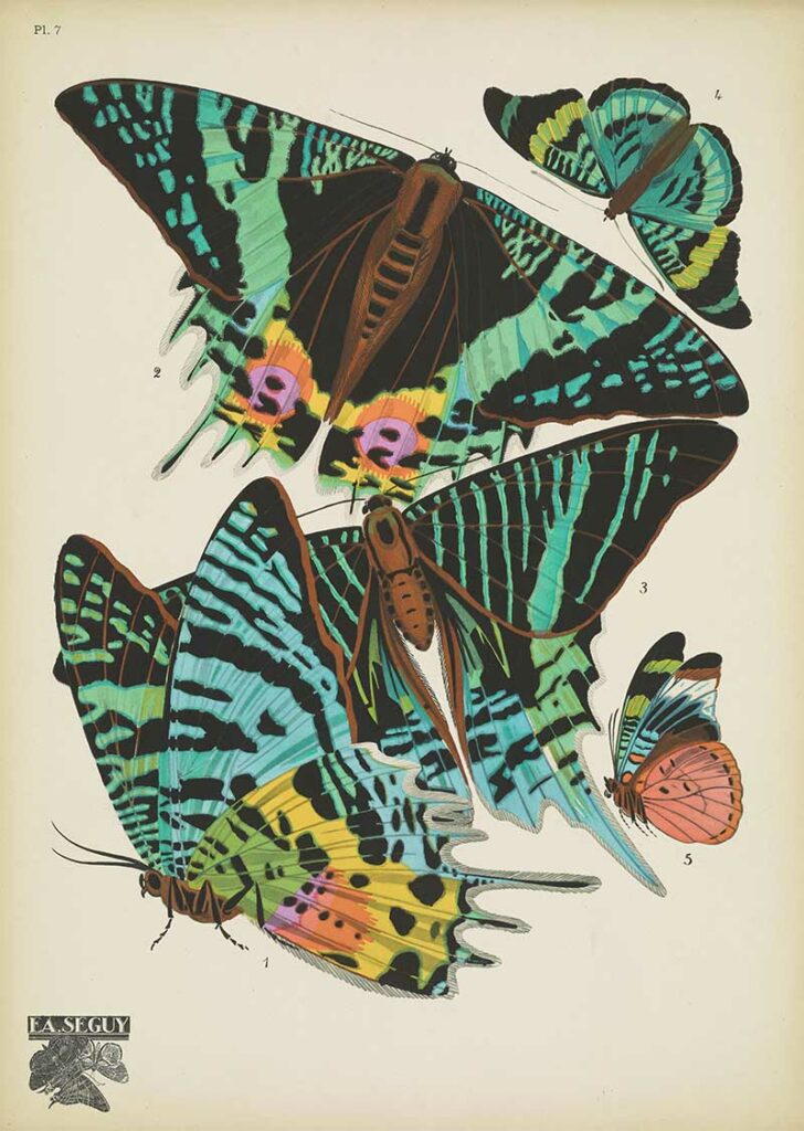 Papillons-pochoir print 7