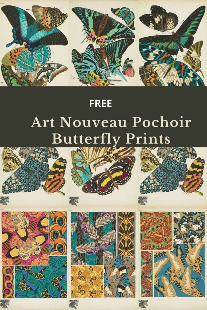seguy-pochoir-antique-butterfly-prints