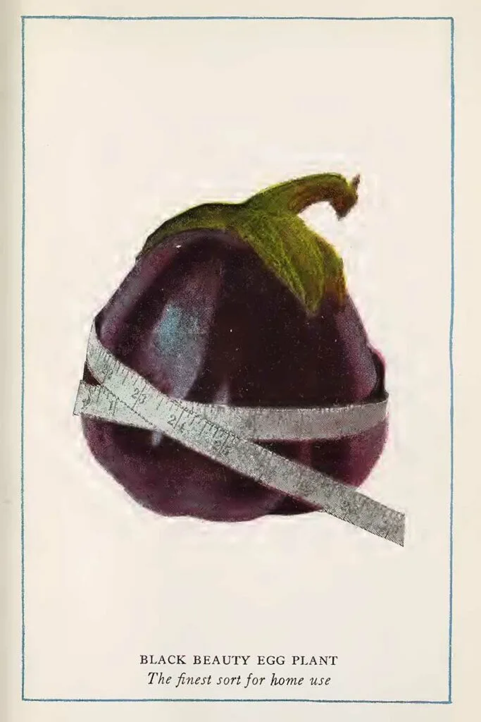 Eggplant vegetable prints