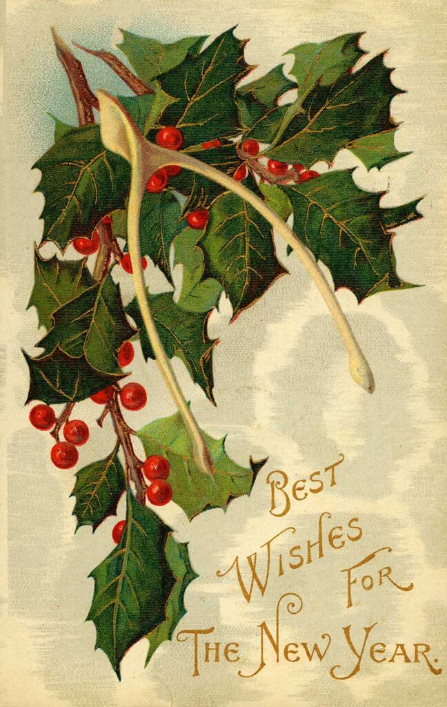 New Year Postcard 1909