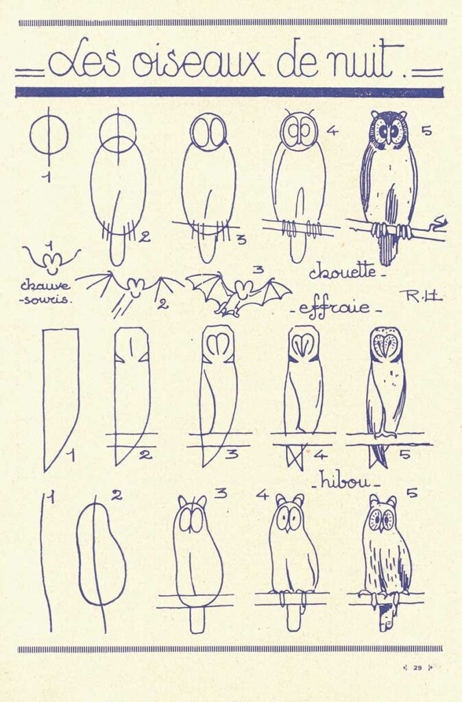 how to draw owls