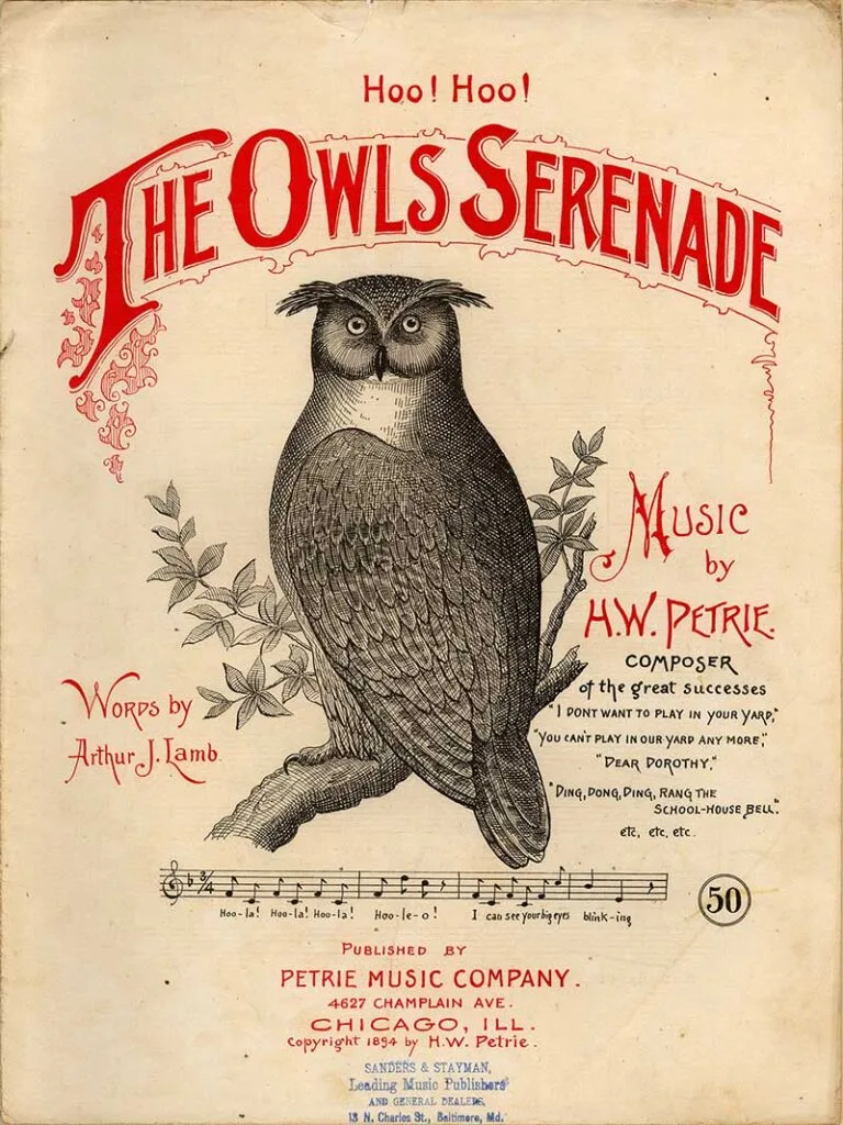 the owls seranade