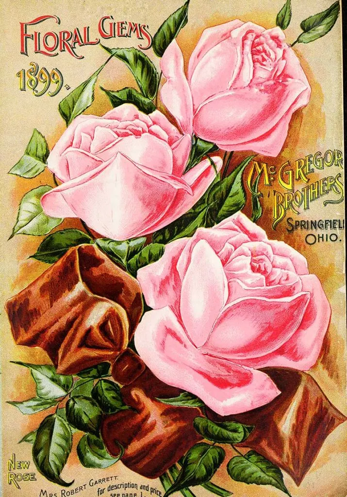 McGregor Brothers Floral Gems 1899