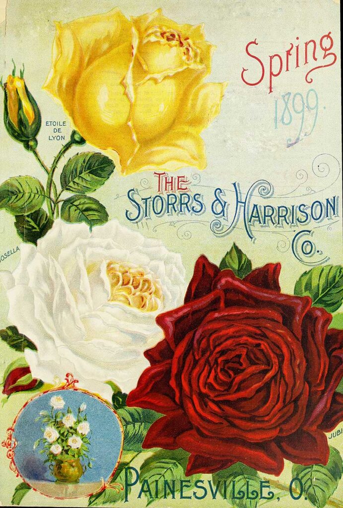 Storrs & Harrison Co. 1899 Spring Catalogue cover