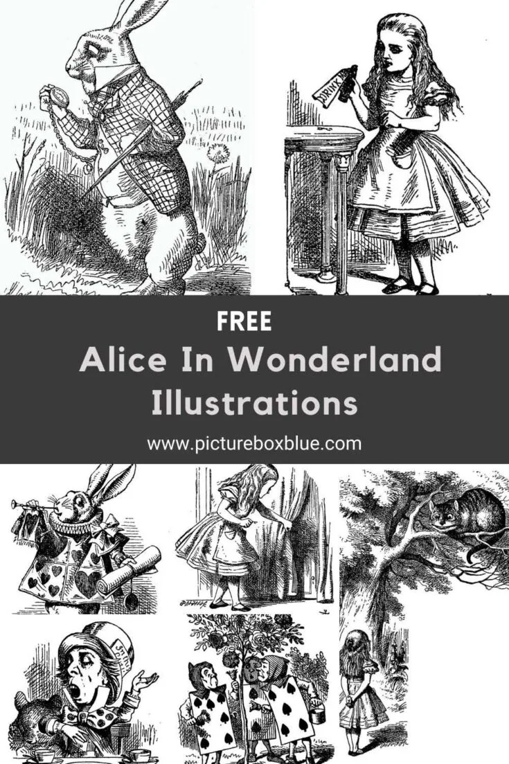 Alice in Wonderland Illustrations
