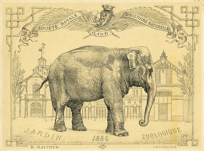 1886_Elephant-drawing-zoo