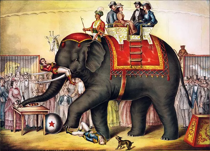 Performing Elephant 1874