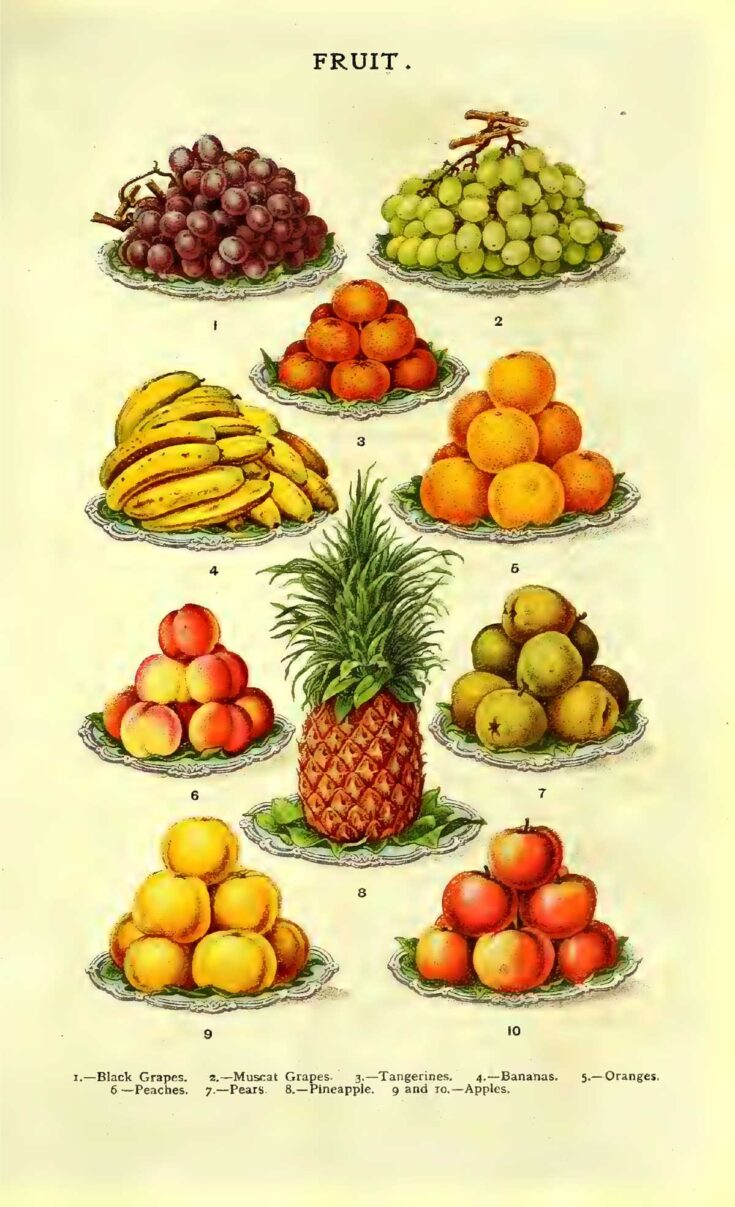Various fruits Mrs Beeton