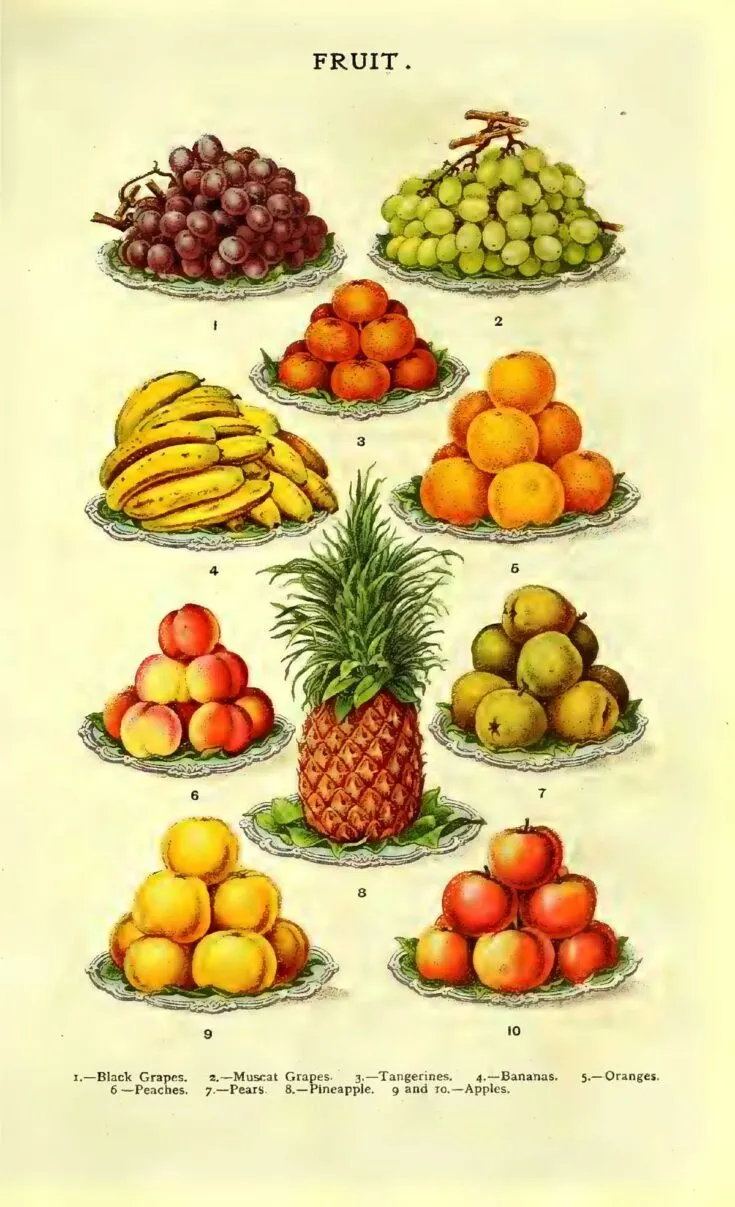 Various fruits Mrs Beeton