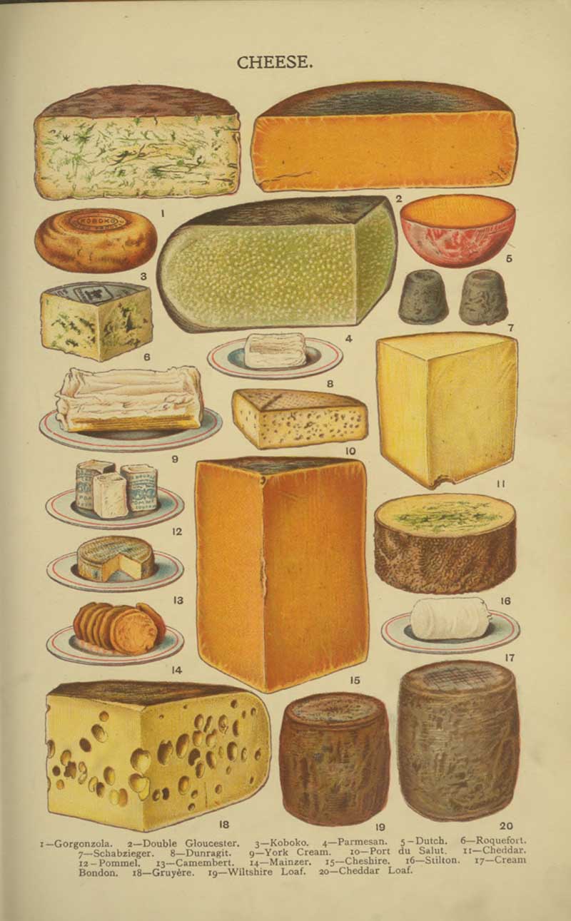 Poster of 20 different Cheeses from Mrs Beeton's Book of Household Management