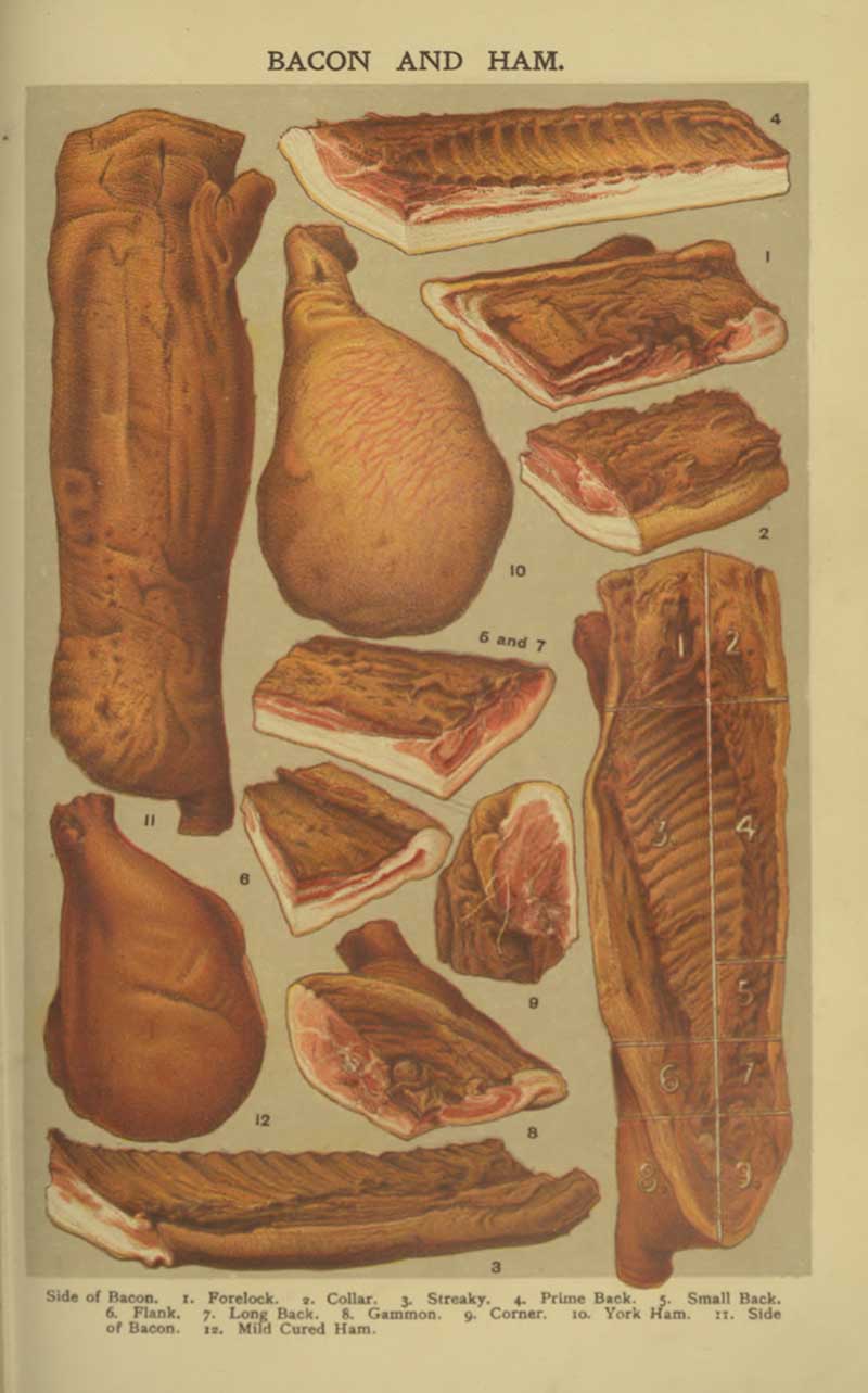 Mrs Beeton Cuts of Bacon and Ham