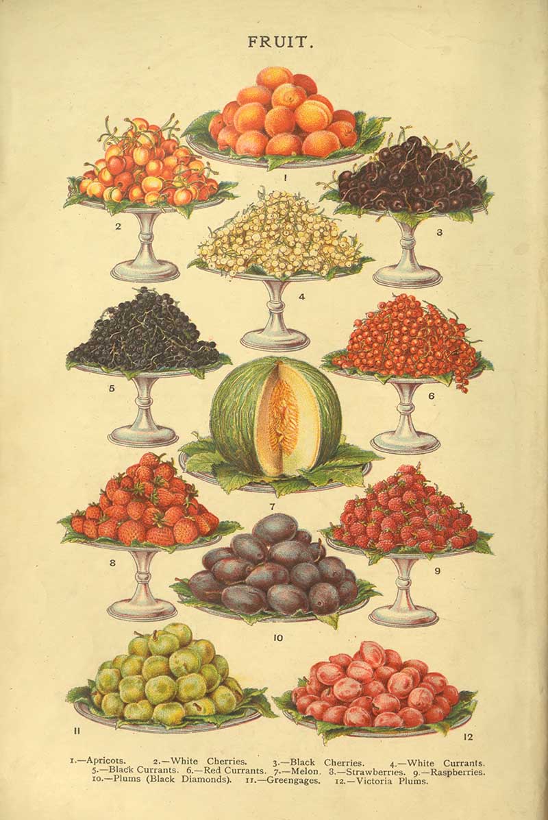 Mrs Beetons various fruits mainly berries and stone fruit with a melon