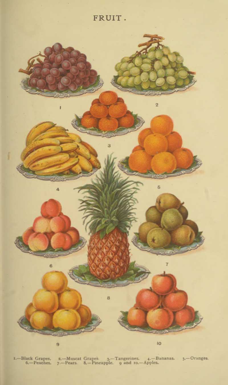 Plates of various Fruits Mrs Beetons Household Managemen