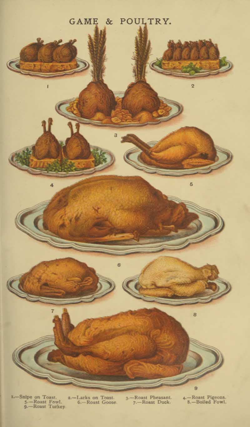 Mrs Beeton Game and Poultry 