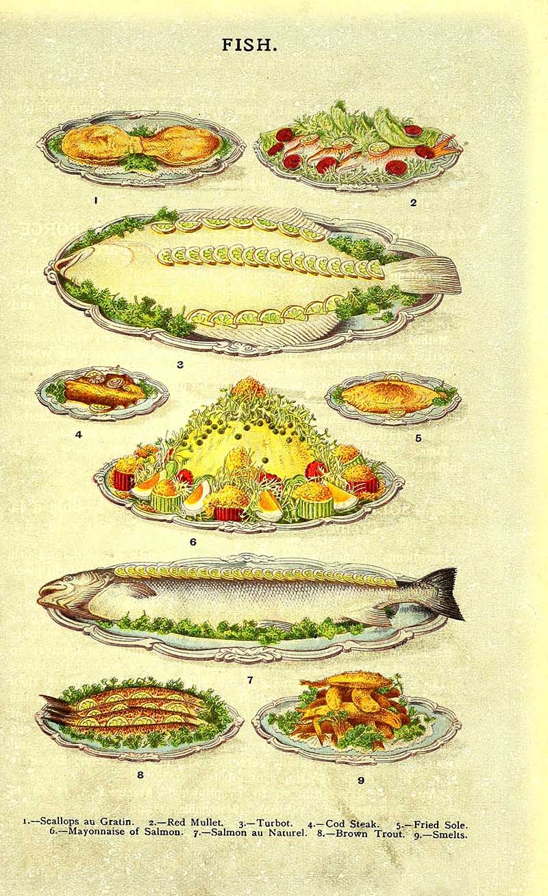 Mrs Beeton assorted fish dishes turbot 