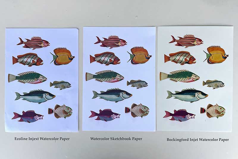 Three different papers printed with fish